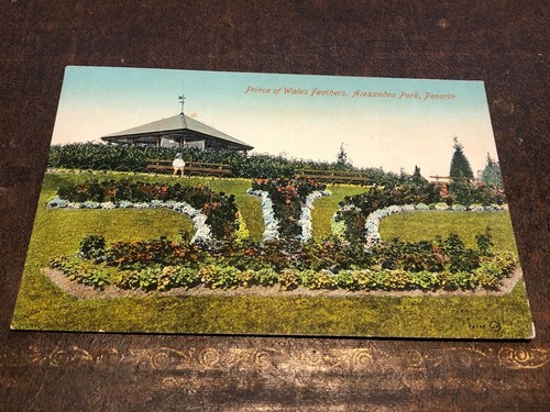 Early 1900s colour postcard - 1900s,