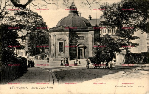 Harrogate royal pump - royal,