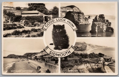 Sidmouth devon good luck - sidmouth,