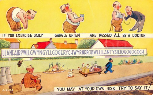 Vintage postcard 1955 humor - vintage,
