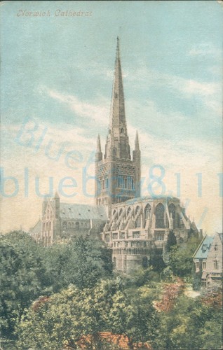 Norwich cathedral 1904 - cathedral,