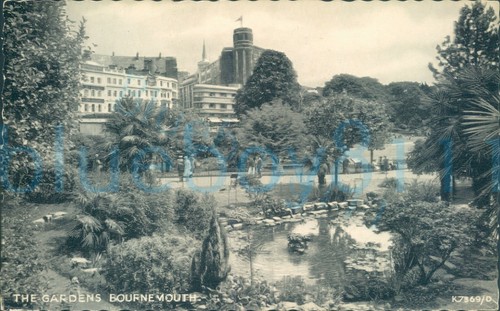 Bournemouth gardens valentine - bournemouth,